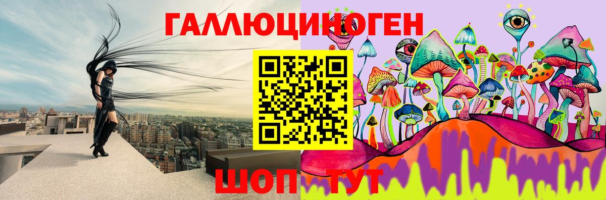 Галлюциногенные грибы MAGIC MUSHROOMS  Заволжье  Псилоцибиновые грибы Psilocybe 