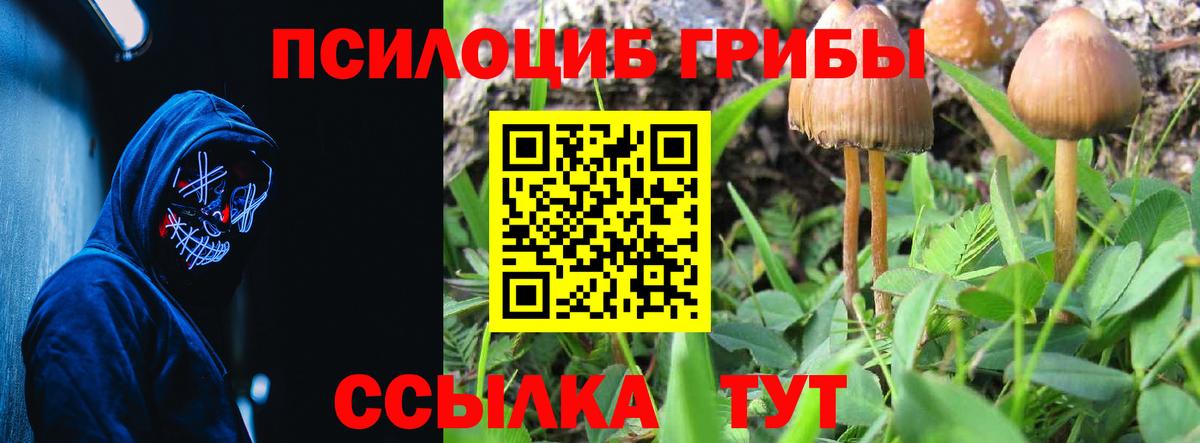 Псилоцибиновые грибы Psilocybe  Вход с VPN  где купить   Заволжье 