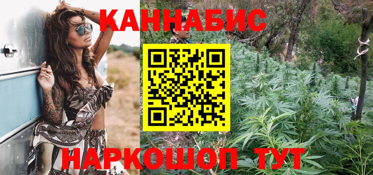 Шишки марихуана гибрид Заволжье